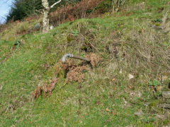 Trwyn farmhouse, Nant Gwyddon Valley, Abercarn, November 2011